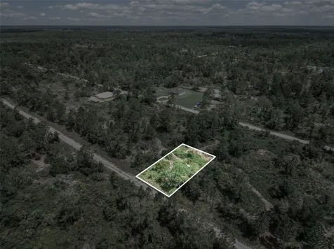 3341 & 3343 Pheasant Avenue Lake Placid FL 33852