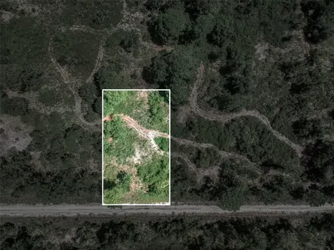 3341 & 3343 Pheasant Avenue Lake Placid FL 33852