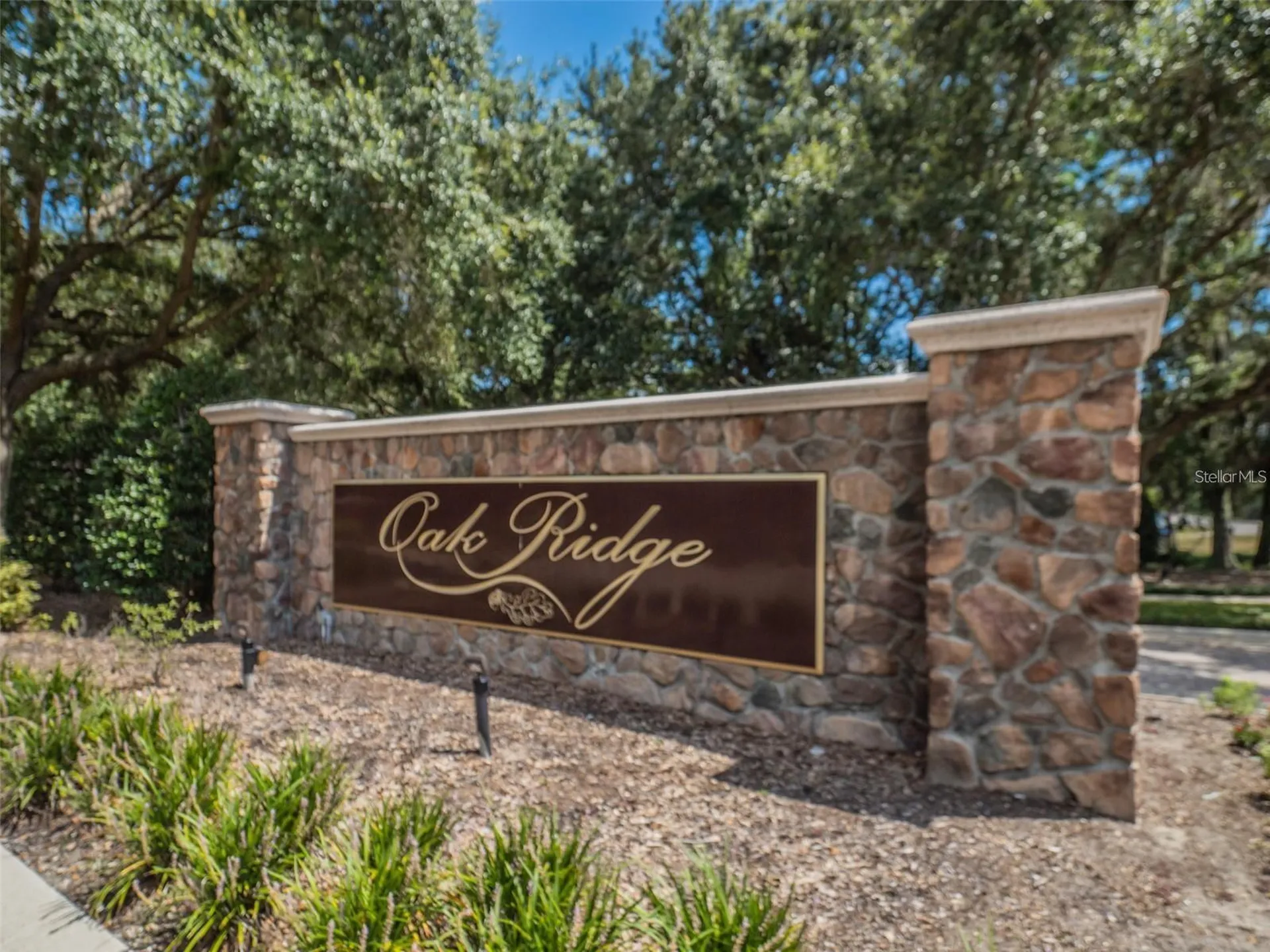 4443 Pine Gold Avenue Apopka FL 32712