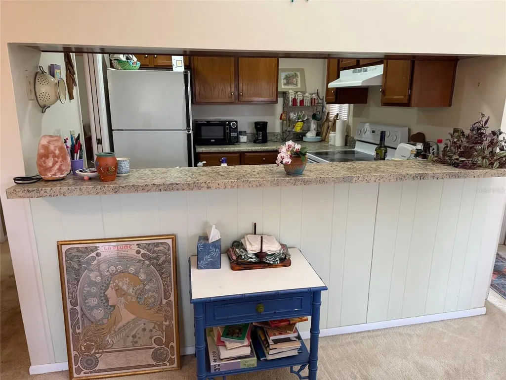 1051 S Highland Street Mount Dora FL 32757