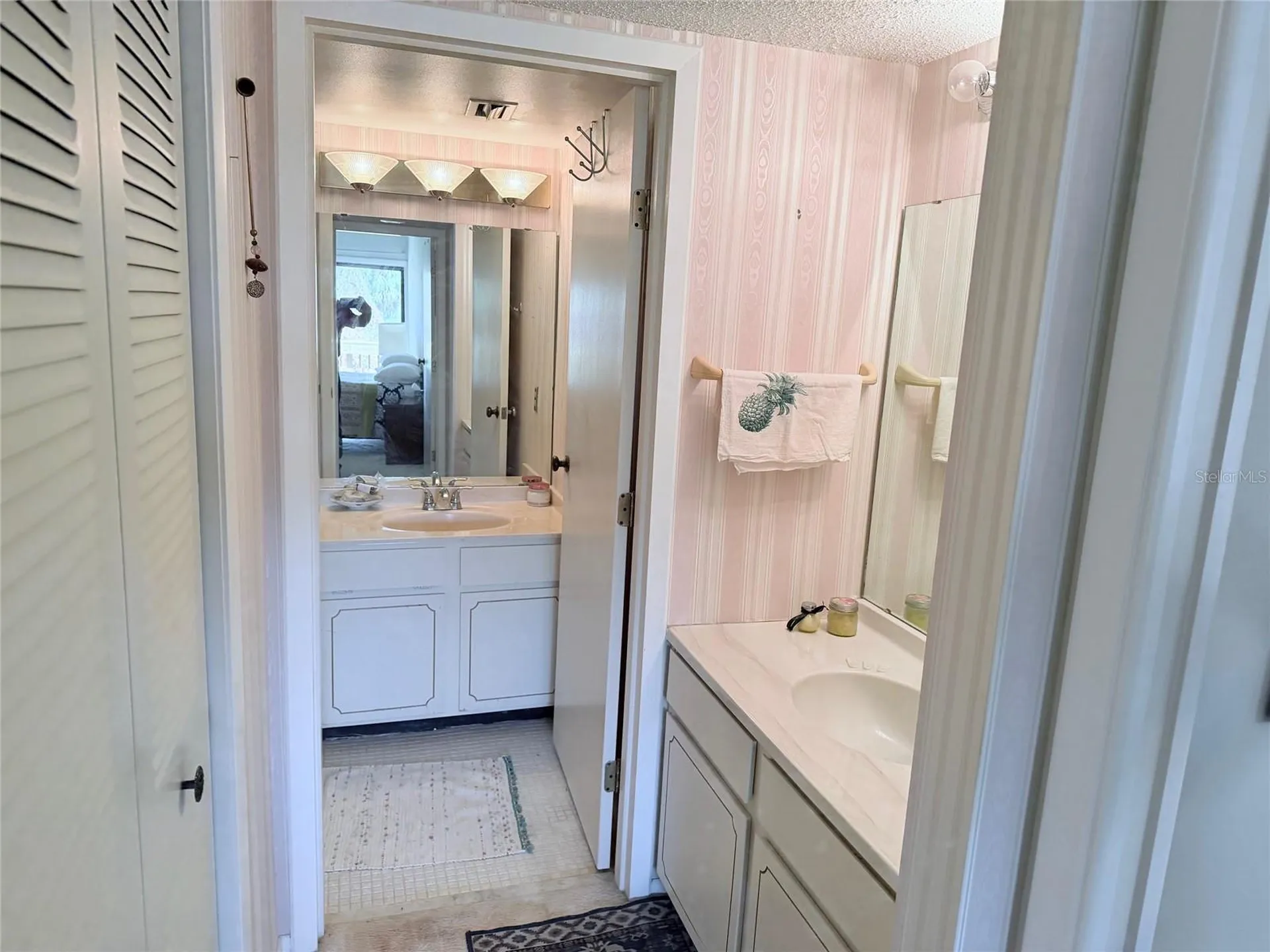 1051 S Highland Street Mount Dora FL 32757