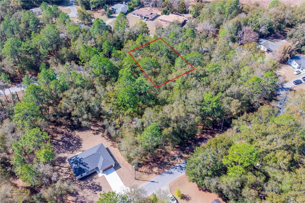 Tbd NE 1st Pl, Lot 6 Williston FL 32696