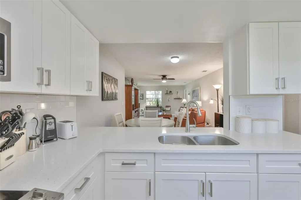 2009 Halmrock Place Sun City Center FL 33573