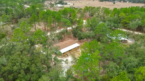 12051 NE 14th Street Williston FL 32696
