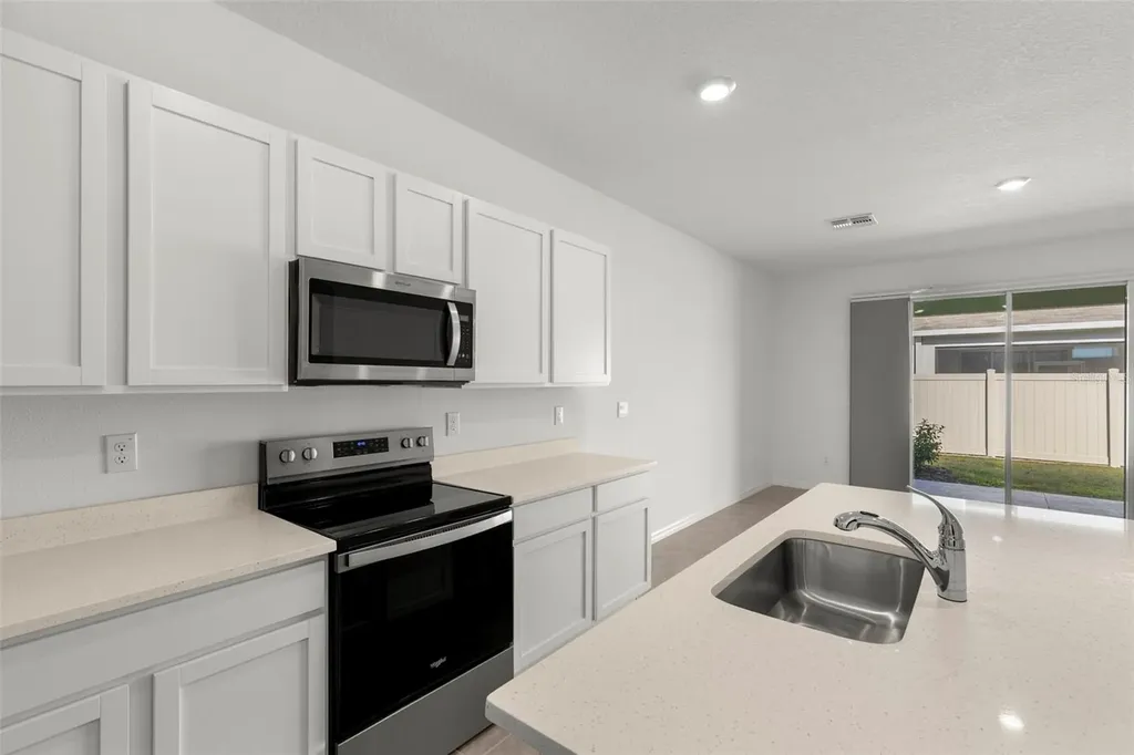 17205 Bigleaf Mahogany Lane Land O Lakes FL 34638