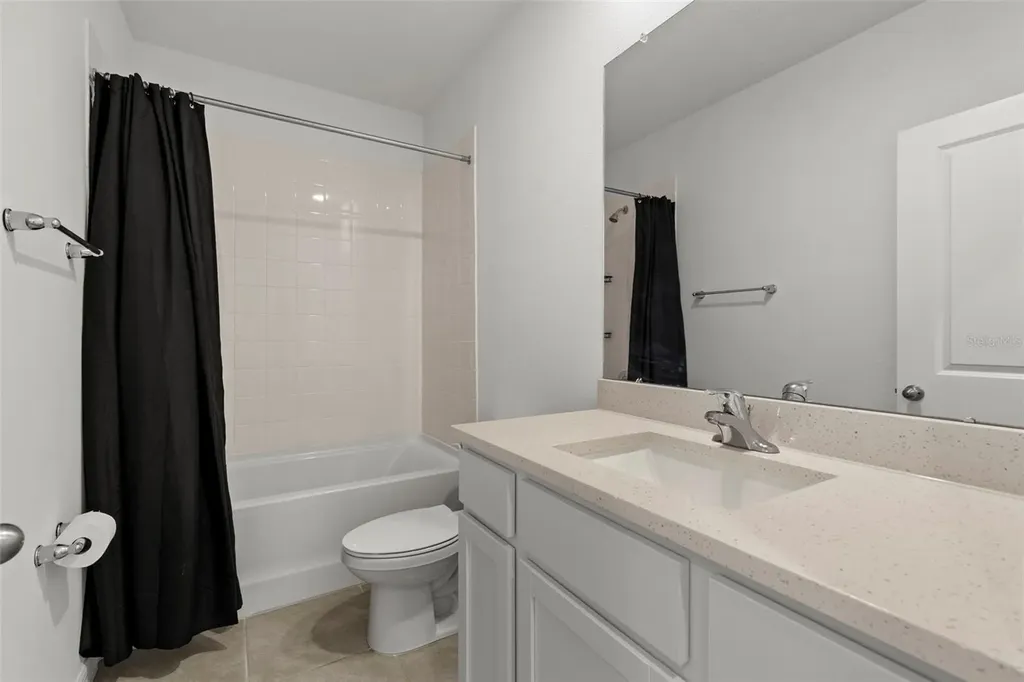 17205 Bigleaf Mahogany Lane Land O Lakes FL 34638