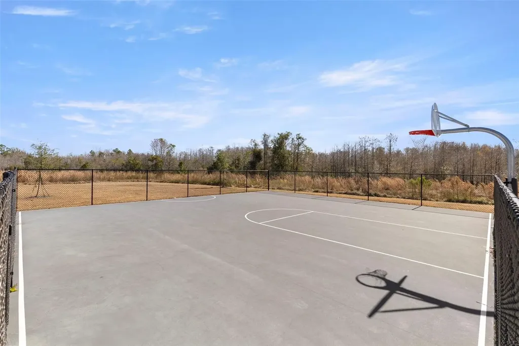 17205 Bigleaf Mahogany Lane Land O Lakes FL 34638