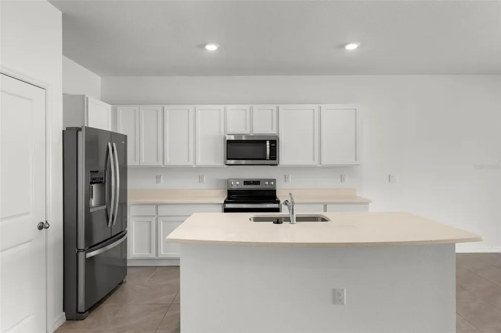 17205 Bigleaf Mahogany Lane Land O Lakes FL 34638