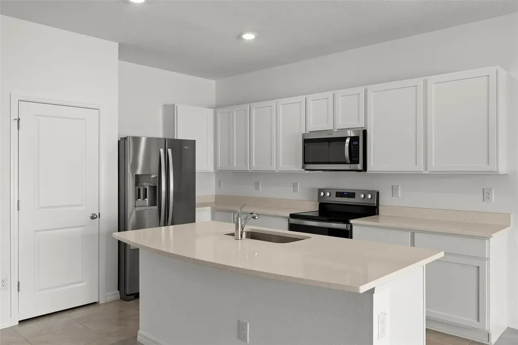17205 Bigleaf Mahogany Lane Land O Lakes FL 34638