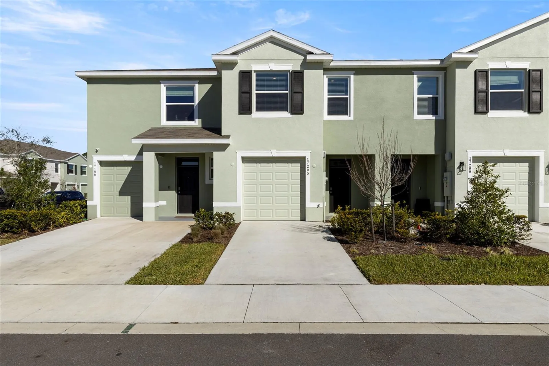 17205 Bigleaf Mahogany Lane Land O Lakes FL 34638