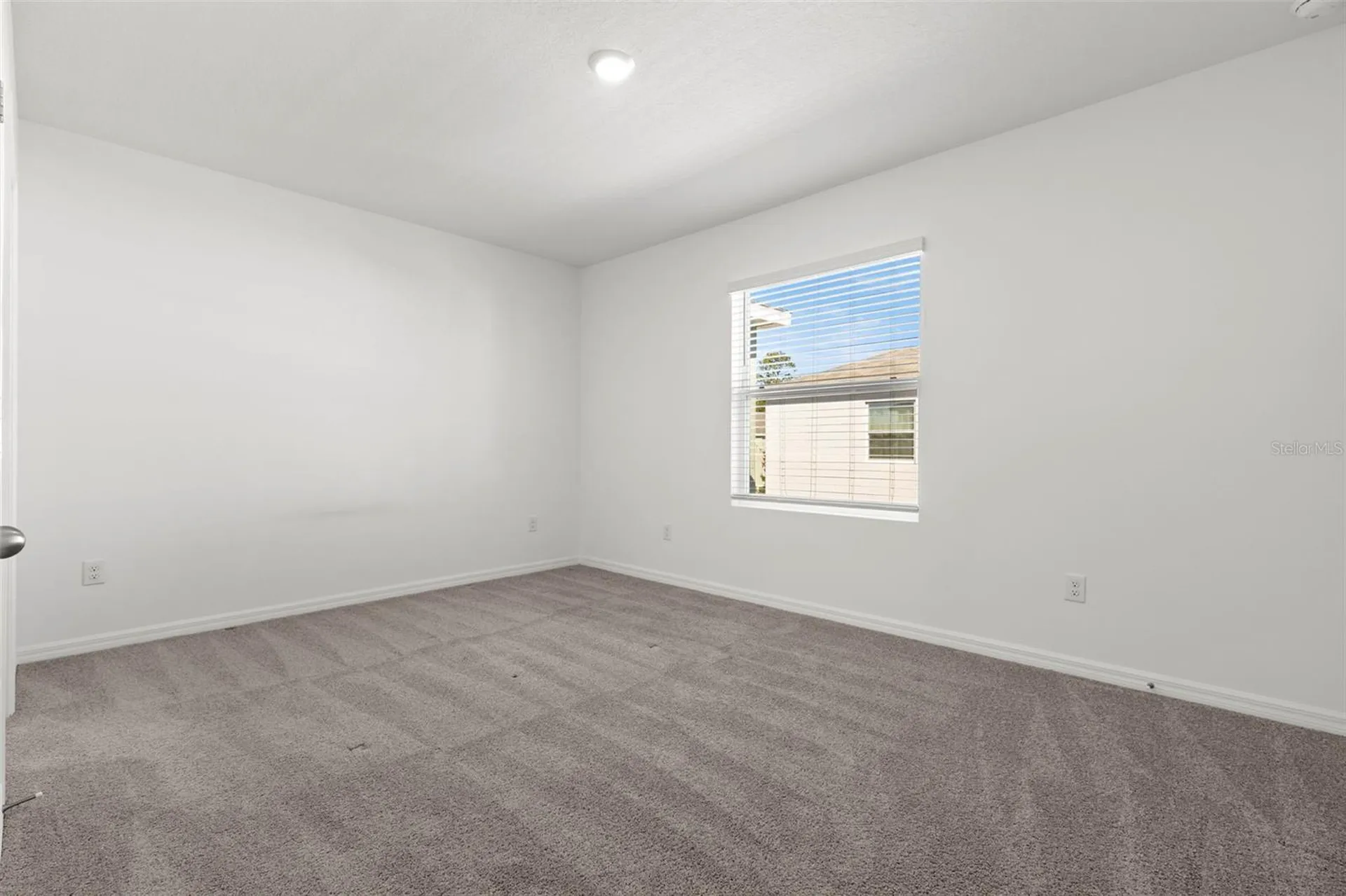 17205 Bigleaf Mahogany Lane Land O Lakes FL 34638