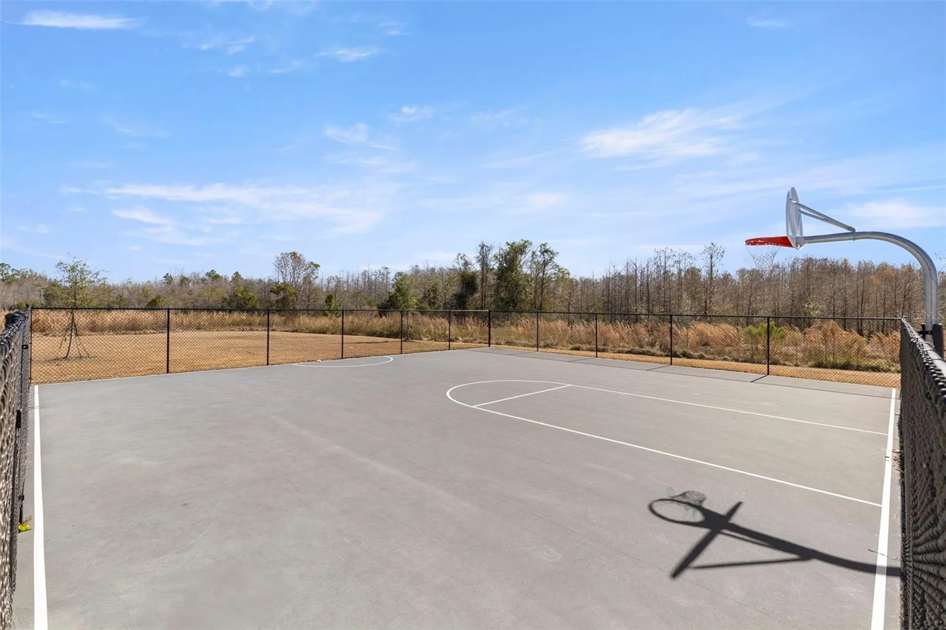 17205 Bigleaf Mahogany Lane Land O Lakes FL 34638