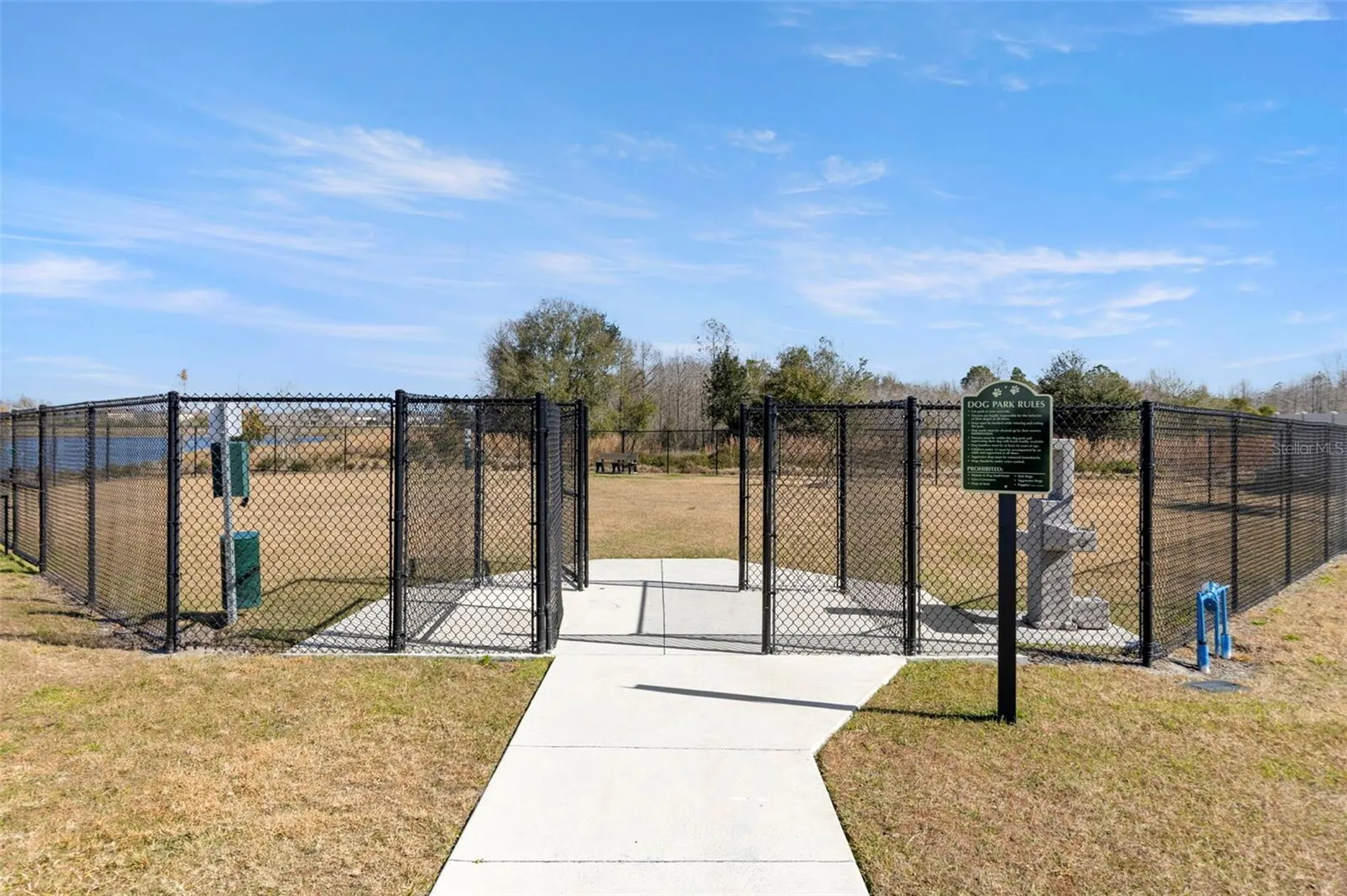 17205 Bigleaf Mahogany Lane Land O Lakes FL 34638