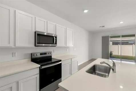 17205 Bigleaf Mahogany Lane Land O Lakes FL 34638