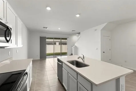 17205 Bigleaf Mahogany Lane Land O Lakes FL 34638