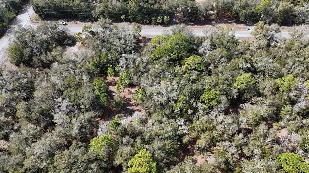 12784 W Cypress Vine Lane Crystal River FL 34428