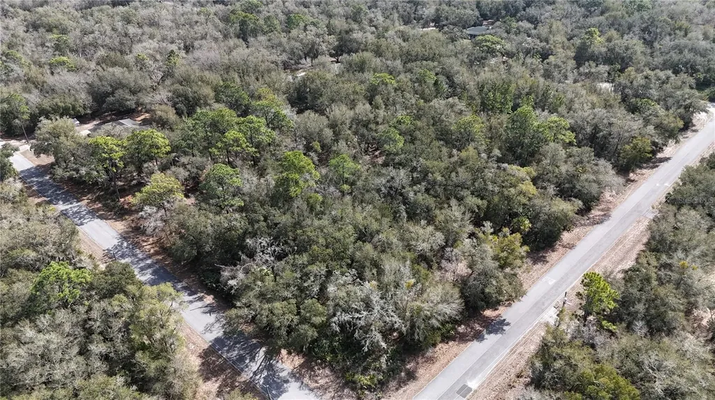 12784 W Cypress Vine Lane Crystal River FL 34428