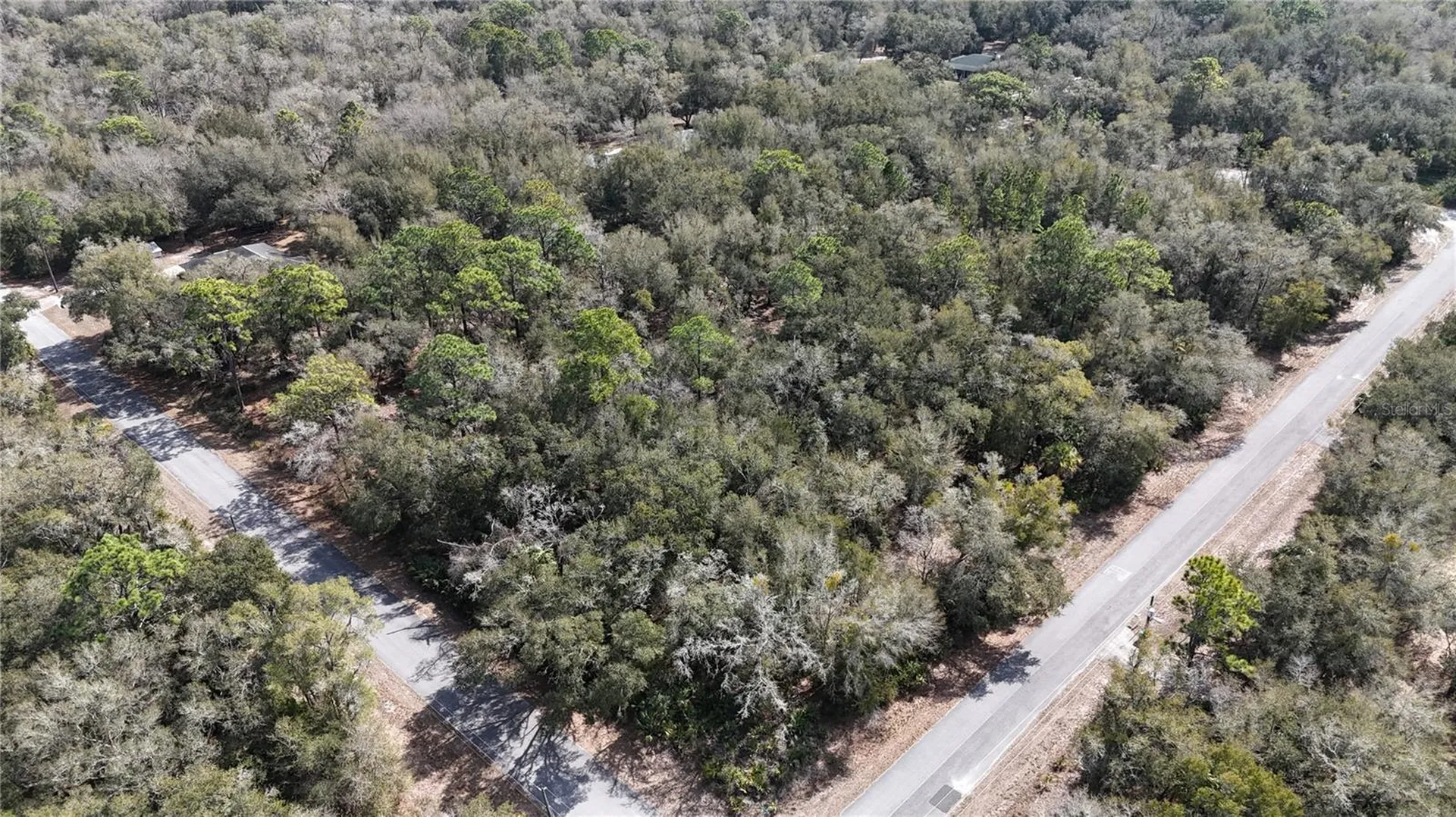 12784 W Cypress Vine Lane Crystal River FL 34428