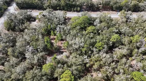 12784 W Cypress Vine Lane Crystal River FL 34428