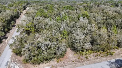 12784 W Cypress Vine Lane Crystal River FL 34428