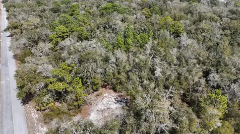 12784 W Cypress Vine Lane Crystal River FL 34428