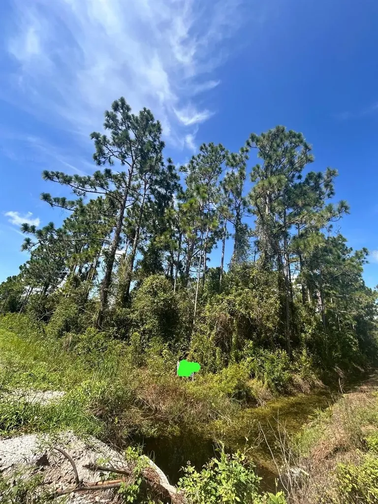966 Challenger Street NW Lake Placid FL 33852