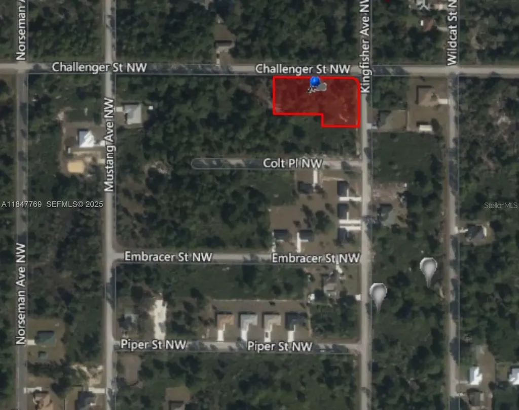 966 Challenger Street NW Lake Placid FL 33852