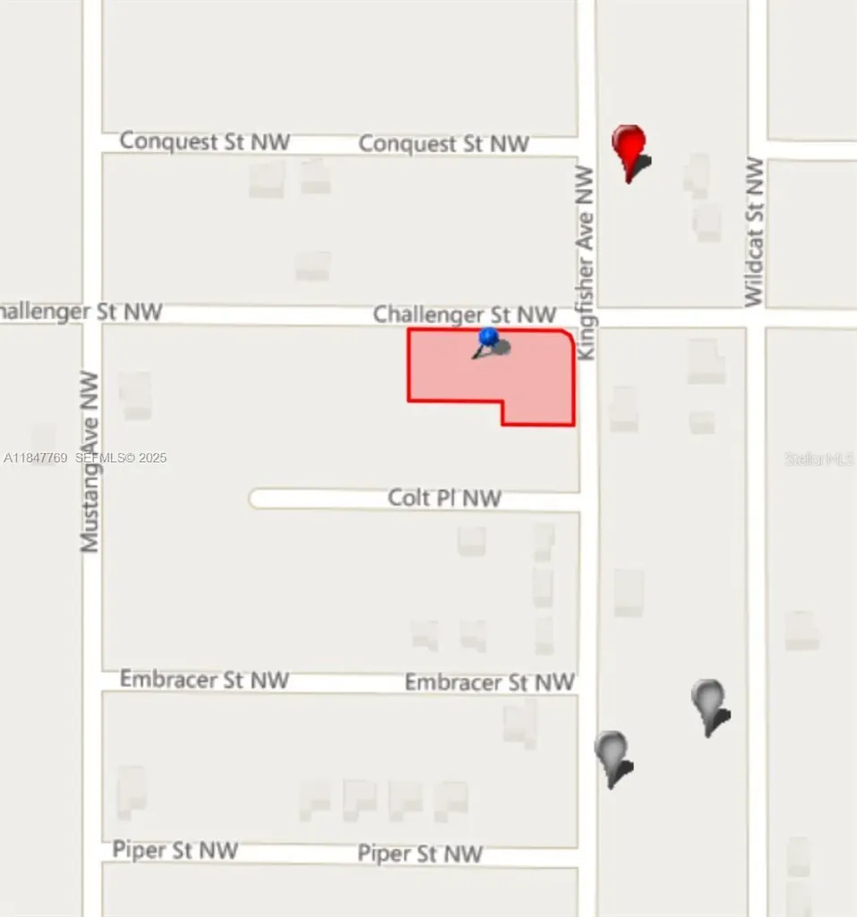 966 Challenger Street NW Lake Placid FL 33852