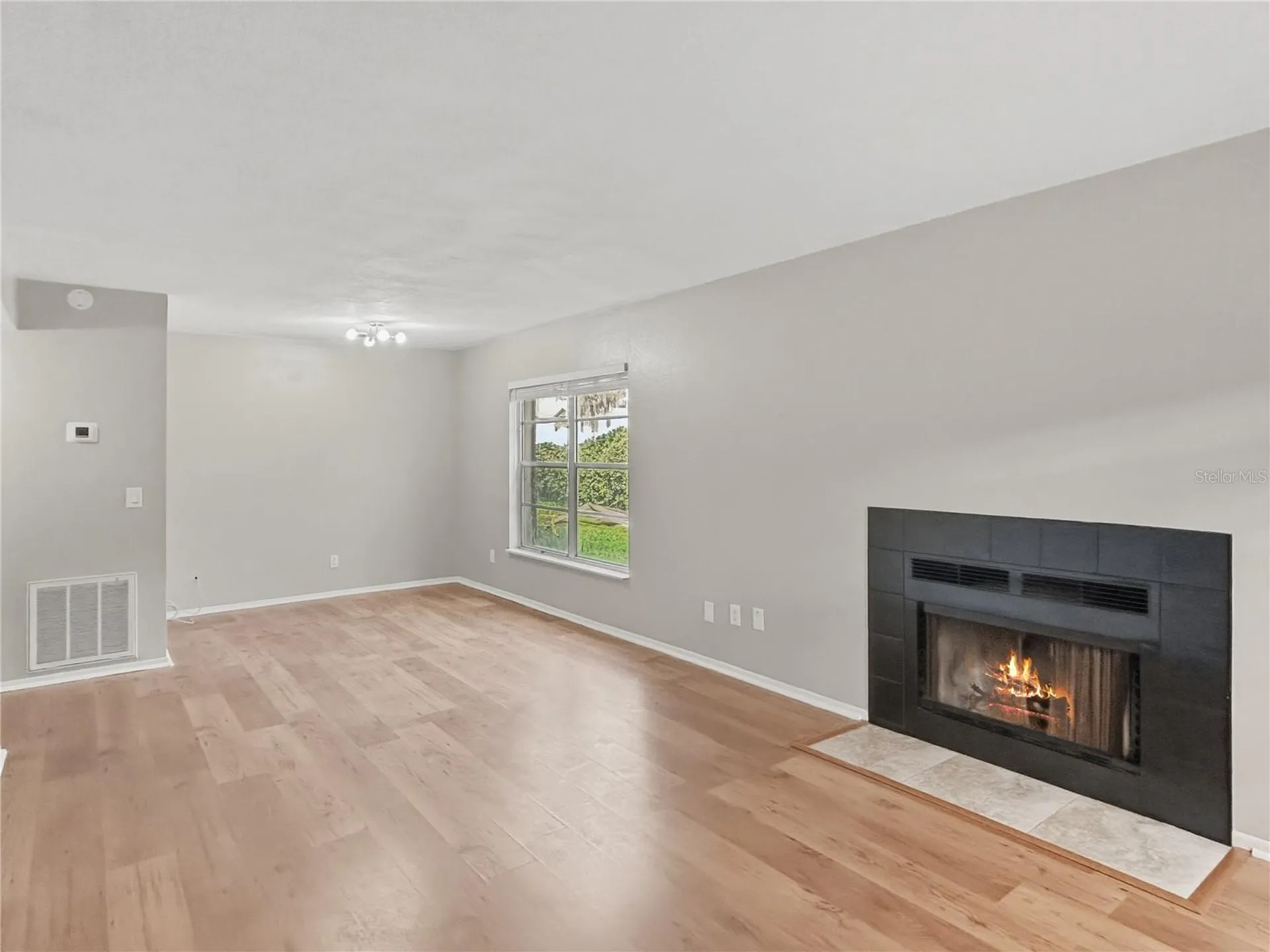 14324 Hanging Moss Circle Tampa FL 33613