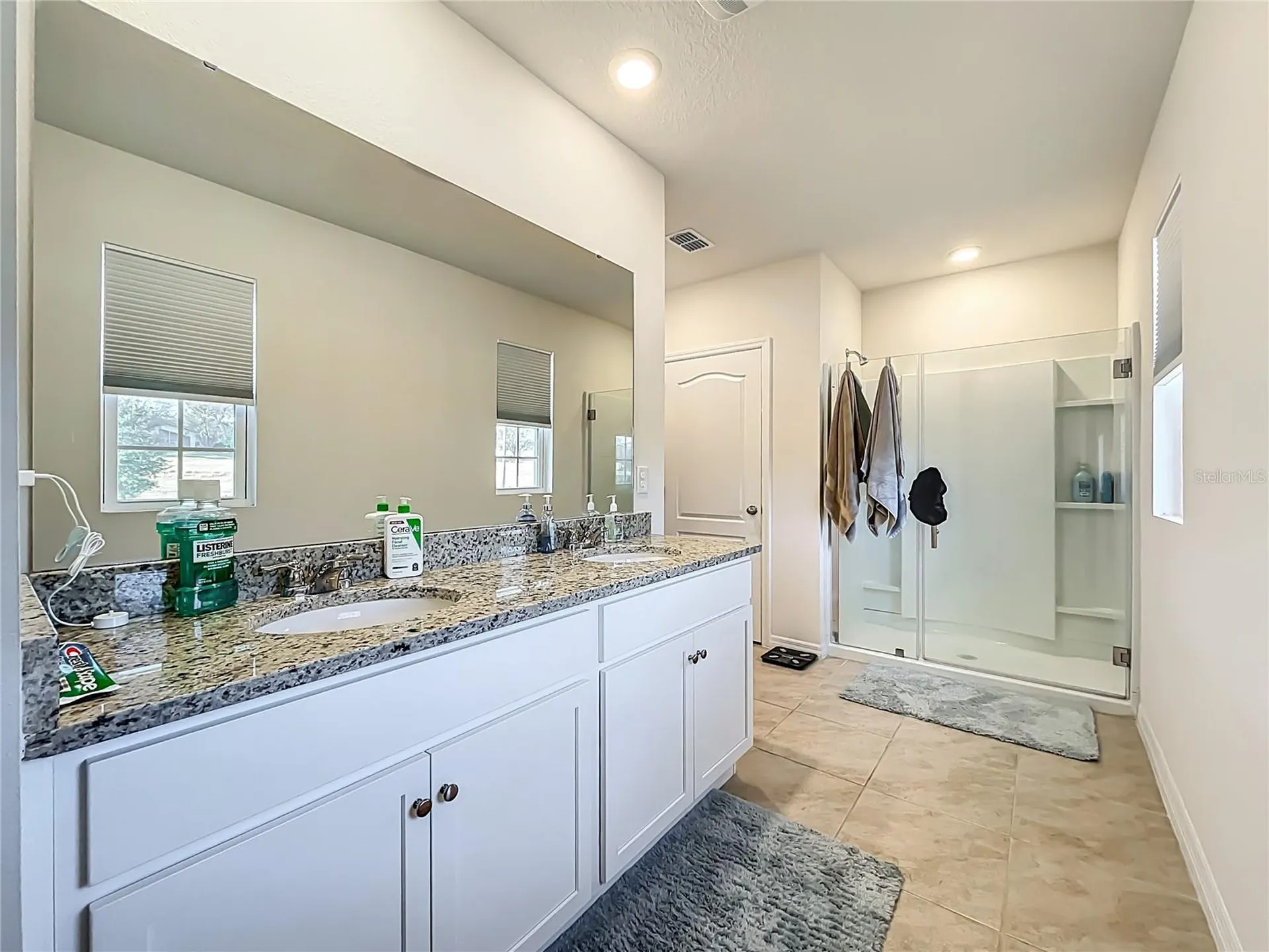 3196 Blue Crab Drive Tavares FL 32778