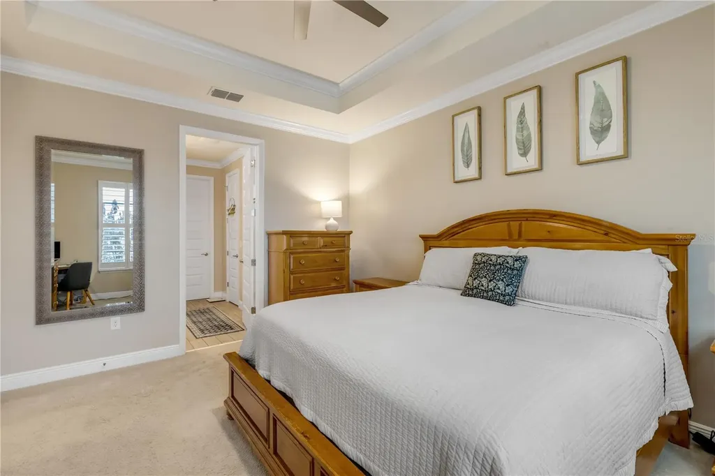 3004 Borassus Drive New Smyrna Beach FL 32168