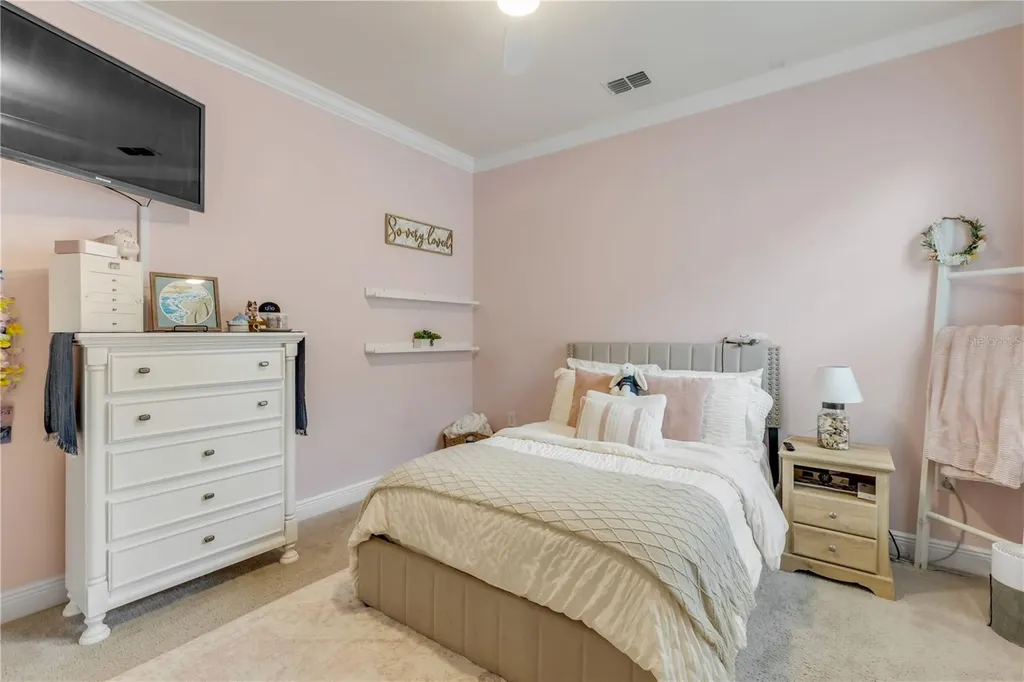 3004 Borassus Drive New Smyrna Beach FL 32168