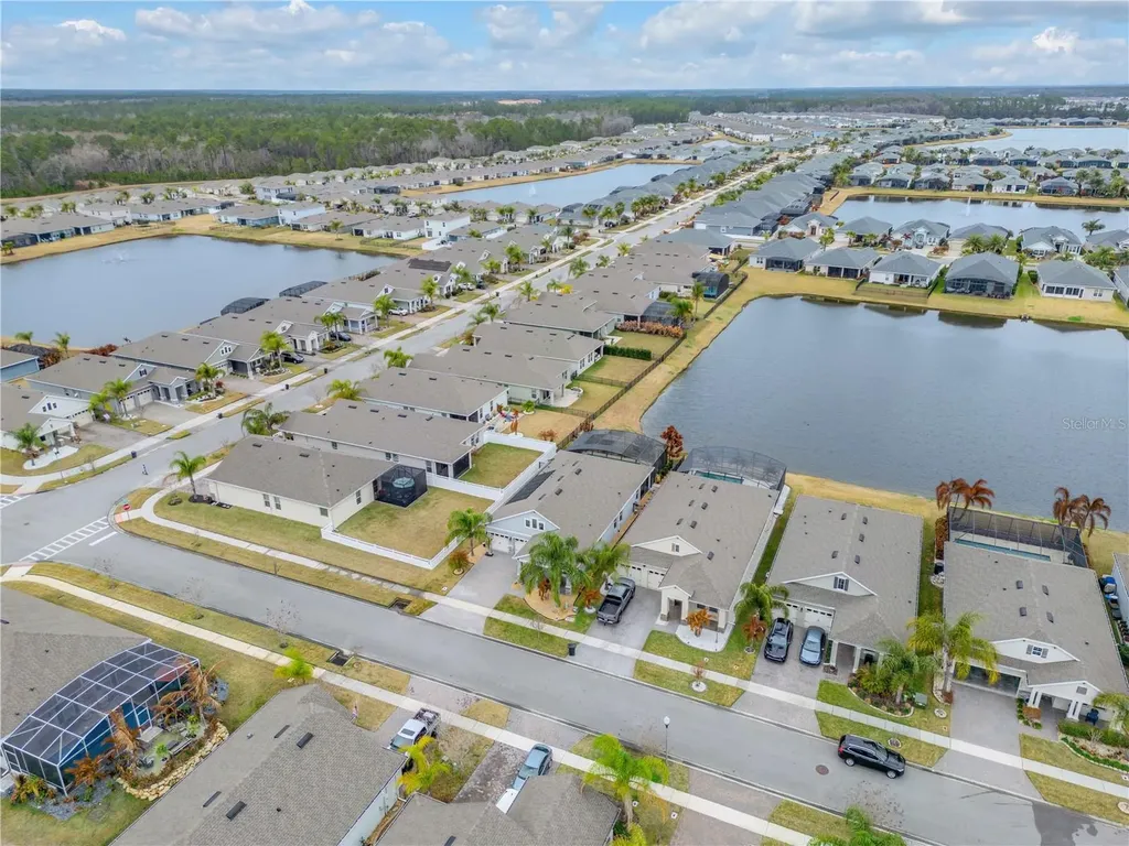 3004 Borassus Drive New Smyrna Beach FL 32168