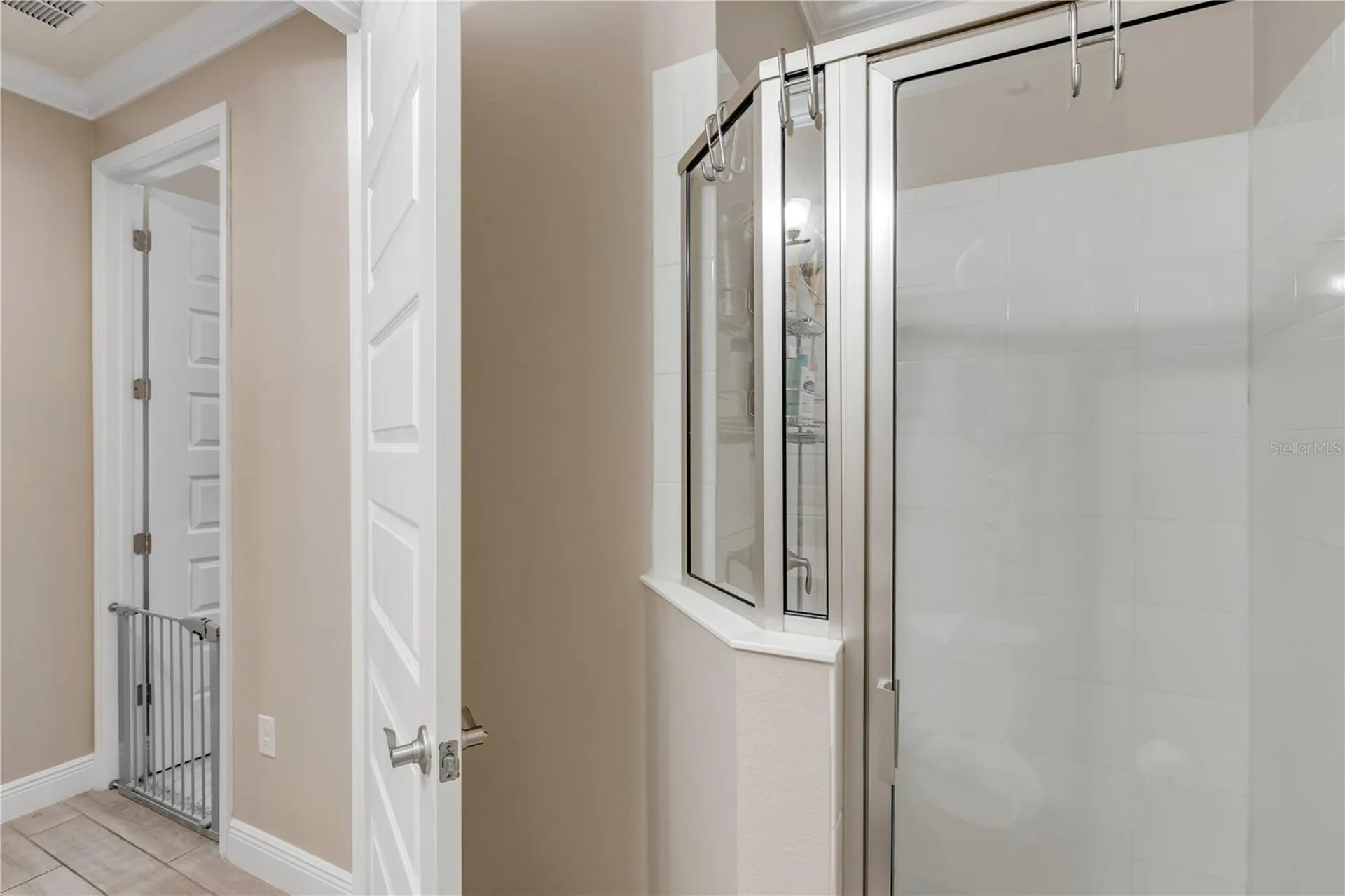 3004 Borassus Drive New Smyrna Beach FL 32168