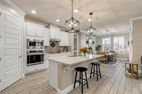 3004 Borassus Drive New Smyrna Beach FL 32168