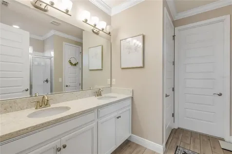 3004 Borassus Drive New Smyrna Beach FL 32168