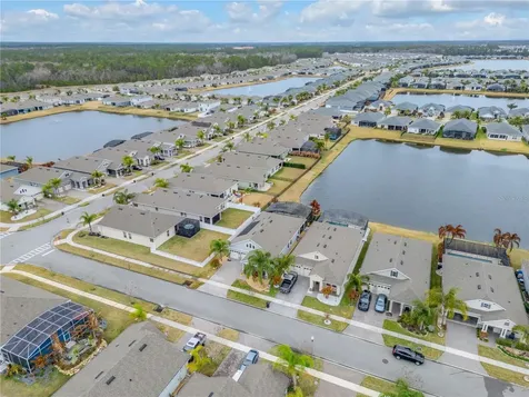3004 Borassus Drive New Smyrna Beach FL 32168