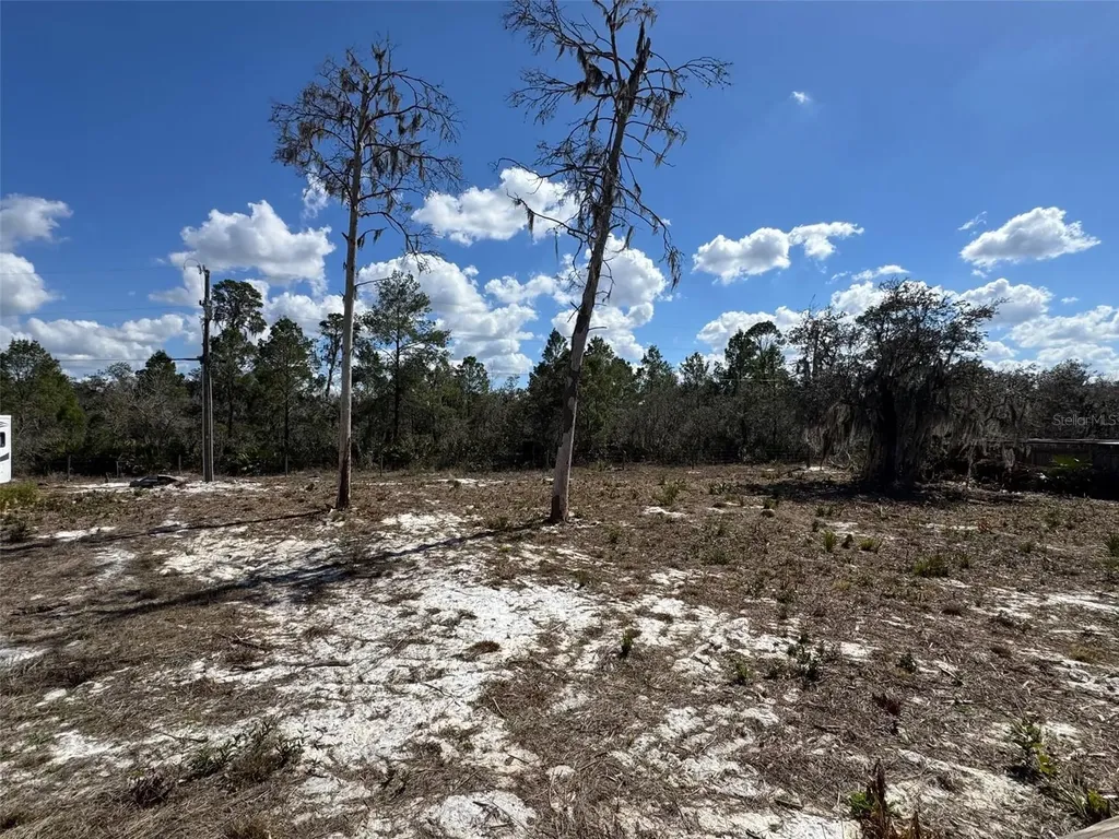 3312 N Horseshoe Drive Avon Park FL 33825