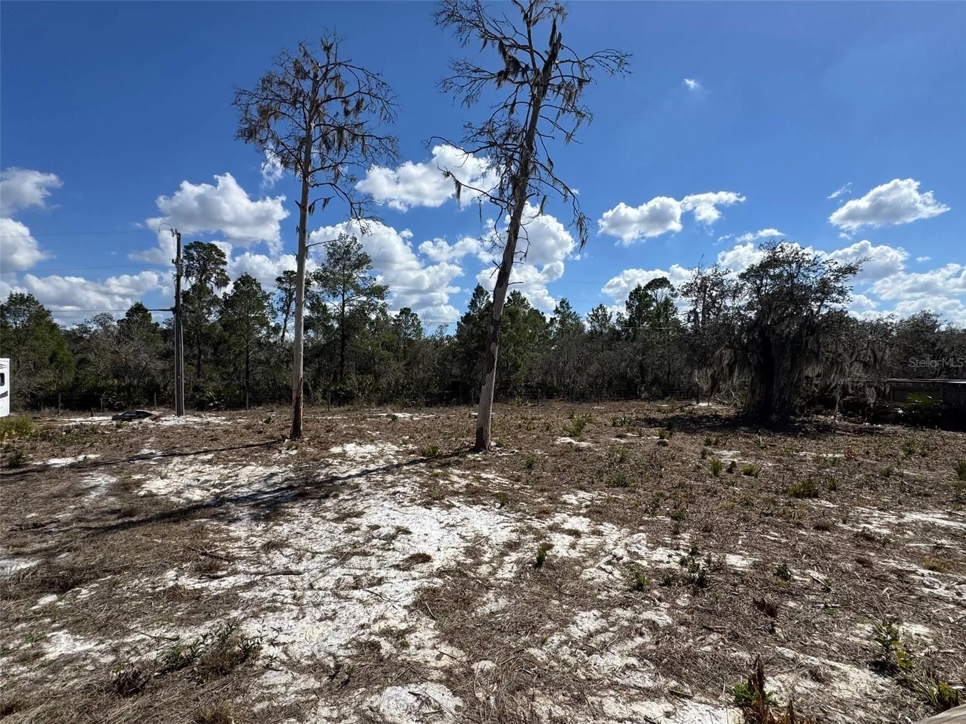 3312 N Horseshoe Drive Avon Park FL 33825