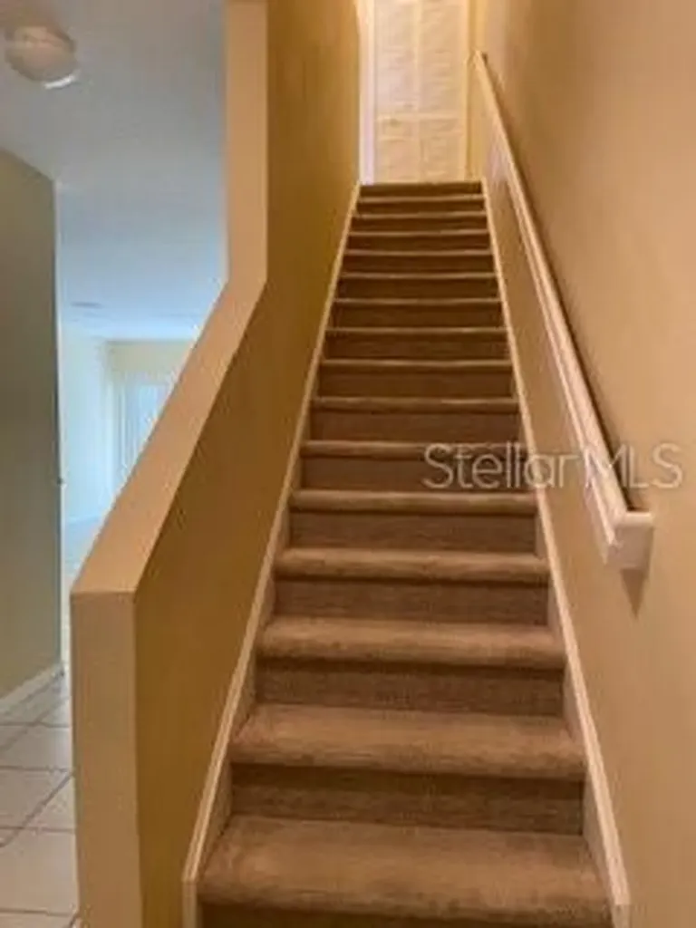 20418 Needletree Drive Tampa FL 33647
