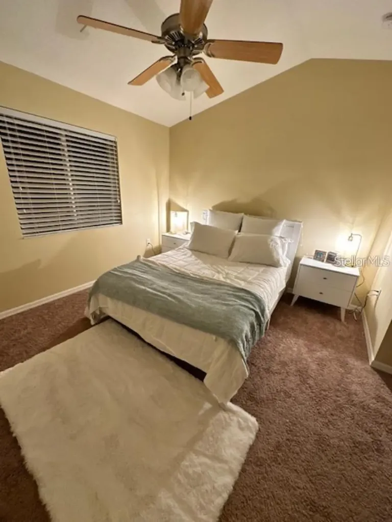 20418 Needletree Drive Tampa FL 33647