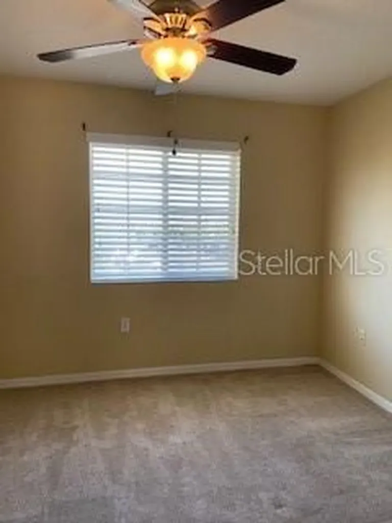 20418 Needletree Drive Tampa FL 33647