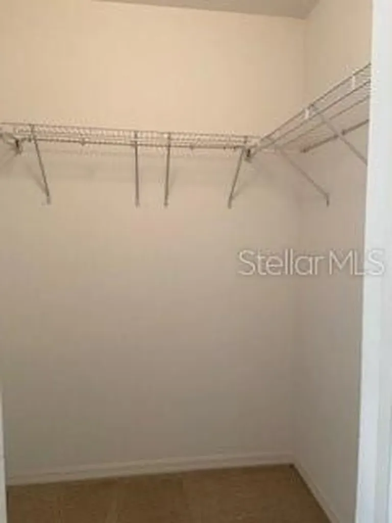 20418 Needletree Drive Tampa FL 33647