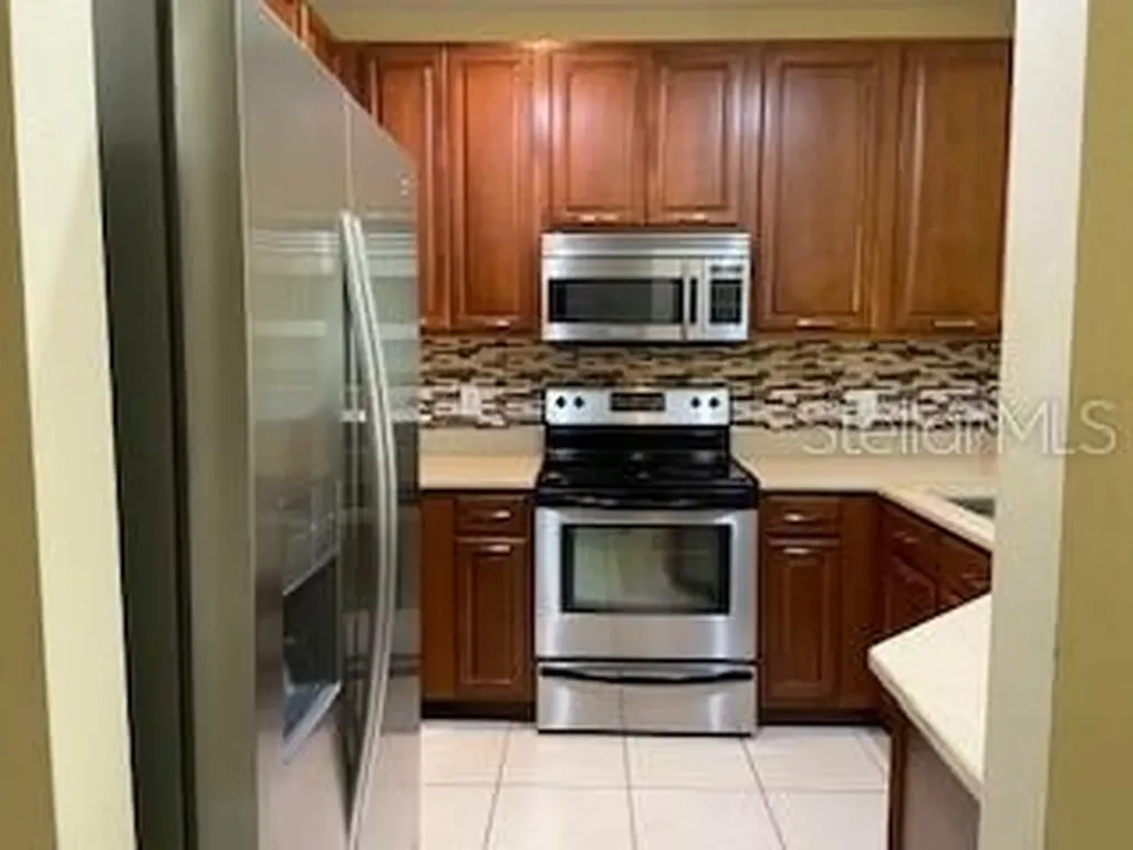 20418 Needletree Drive Tampa FL 33647