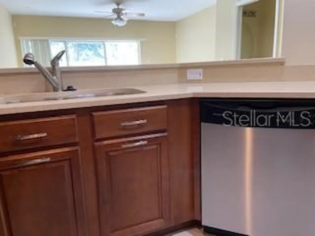 20418 Needletree Drive Tampa FL 33647