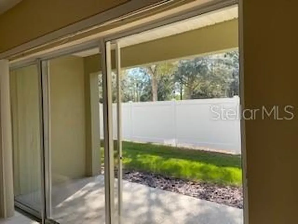 20418 Needletree Drive Tampa FL 33647