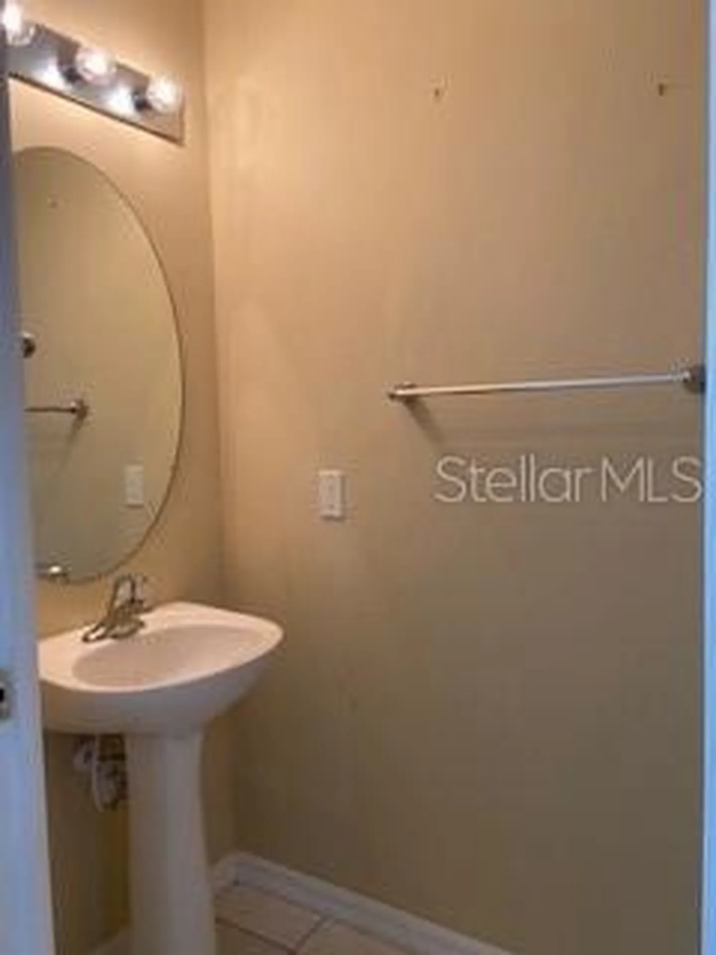 20418 Needletree Drive Tampa FL 33647