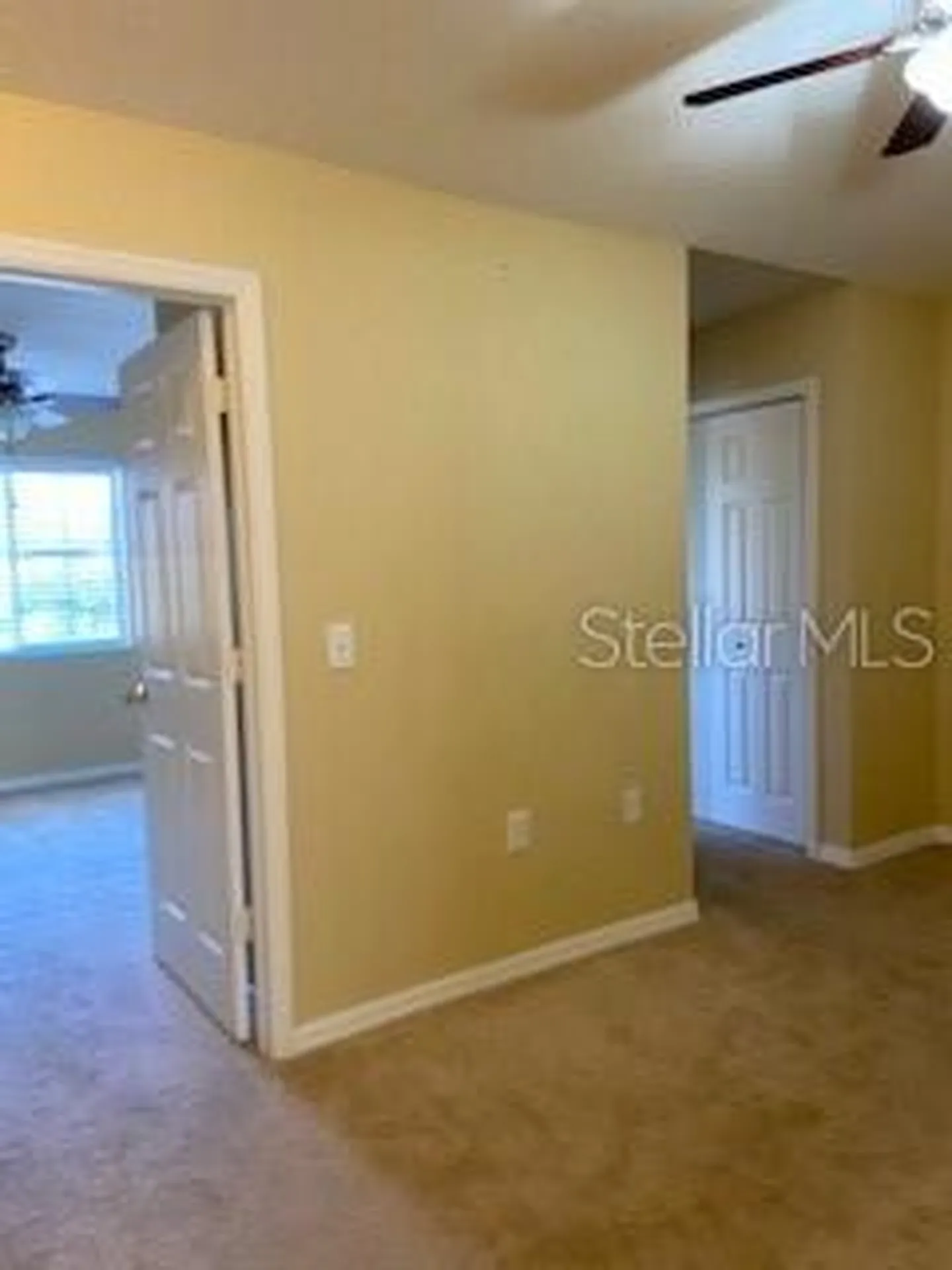 20418 Needletree Drive Tampa FL 33647