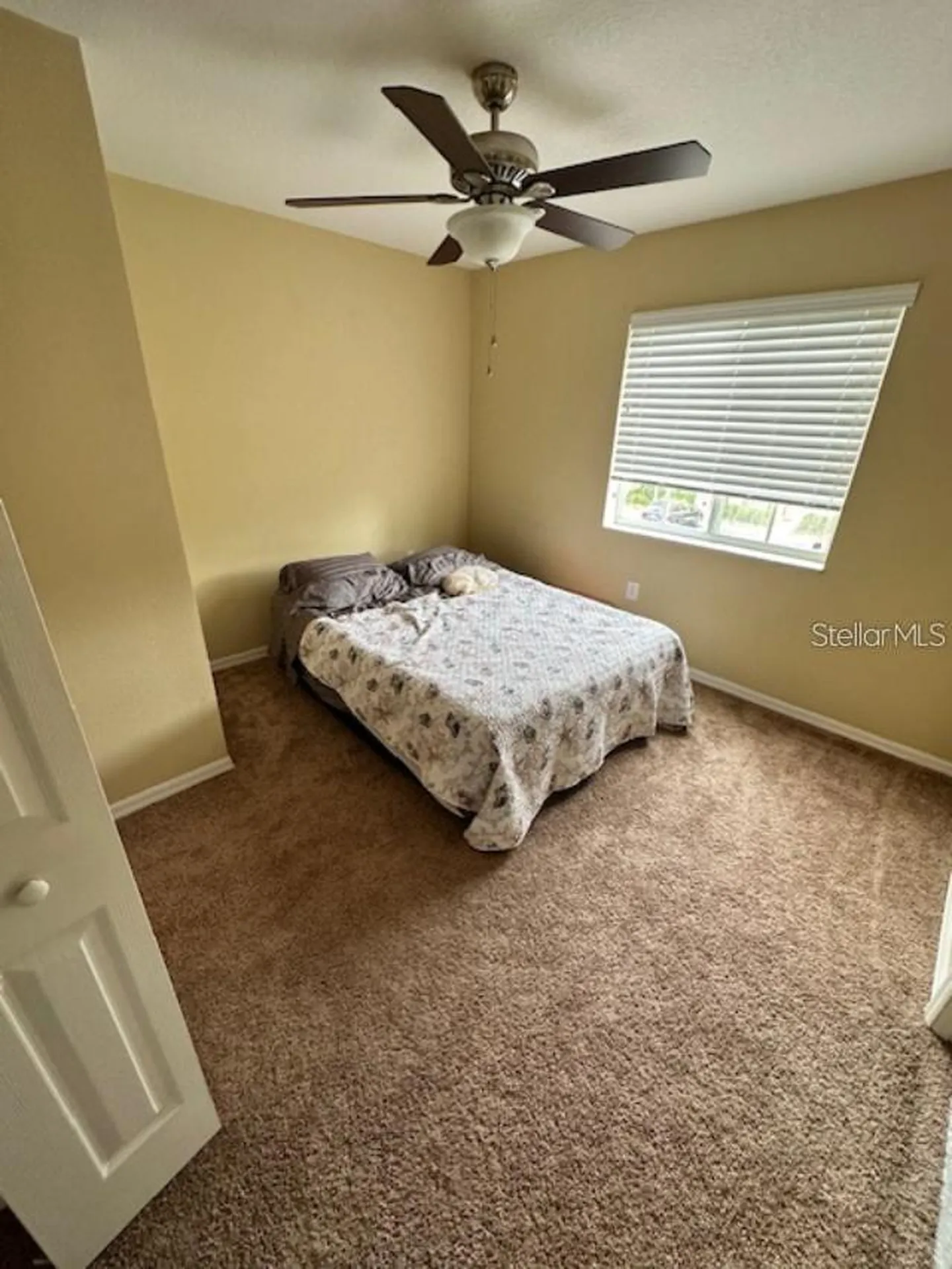 20418 Needletree Drive Tampa FL 33647