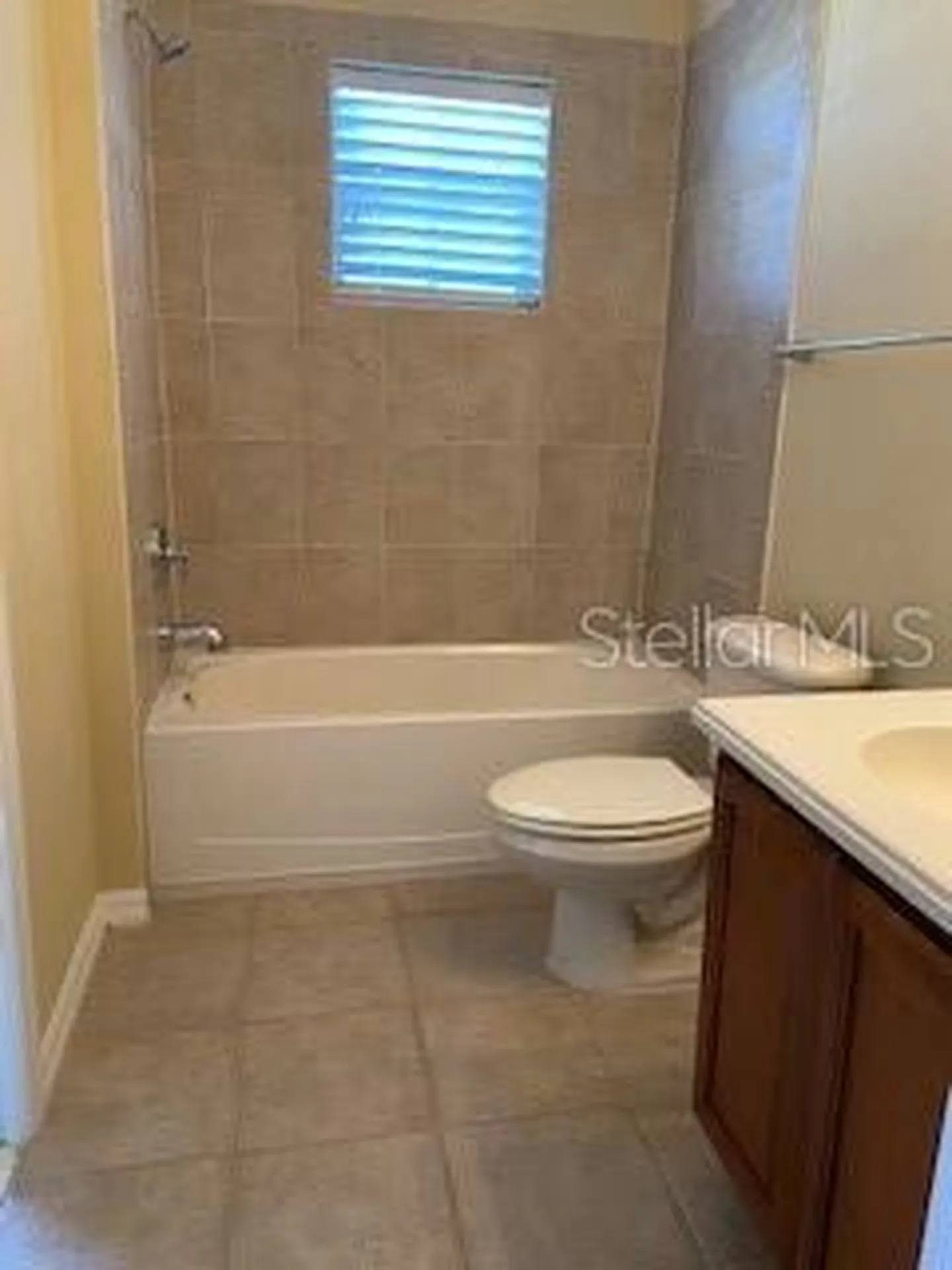 20418 Needletree Drive Tampa FL 33647